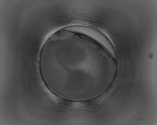 X0000091721379200708241339
