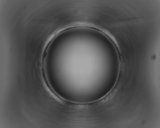 X0000091721381200708241339