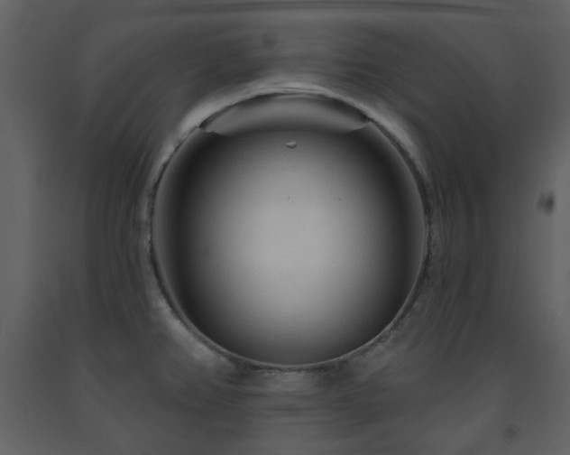 X0000091721382200708241339