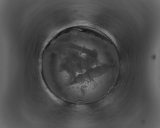 X0000091721383200708241339