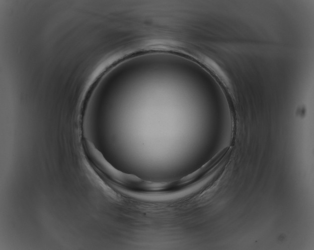 X0000091721384200708241339