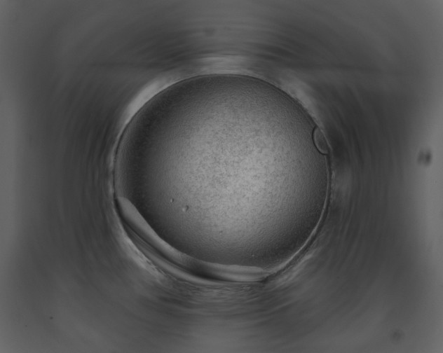 X0000091721386200708241339