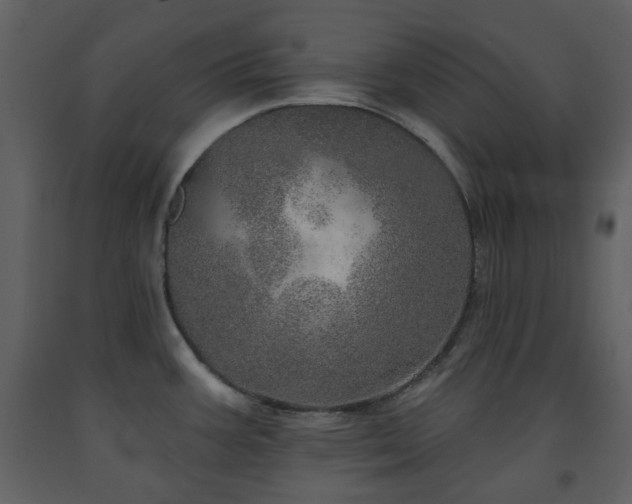 X0000091721387200708241339