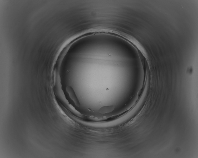 X0000091721388200708241339