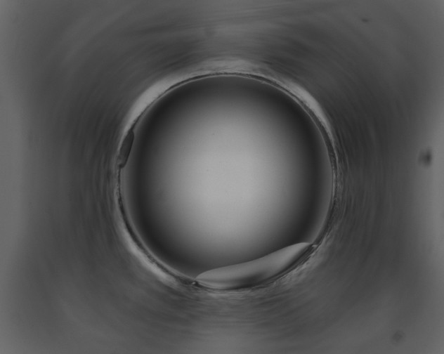 X0000091721389200708241339