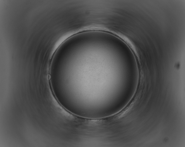 X0000091721390200708241339