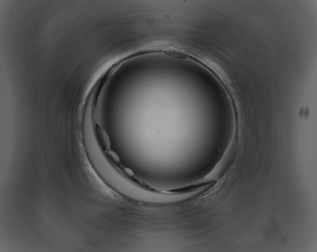 X0000091721392200708241339