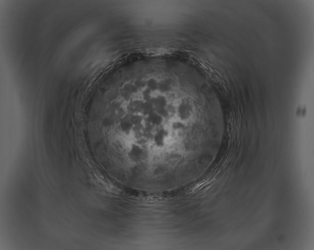 X0000091721393200708241338