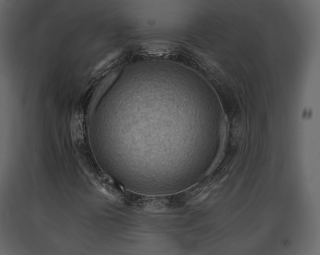 X0000091721394200708241338