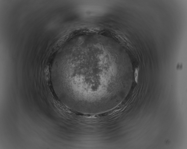 X0000091721395200708241338