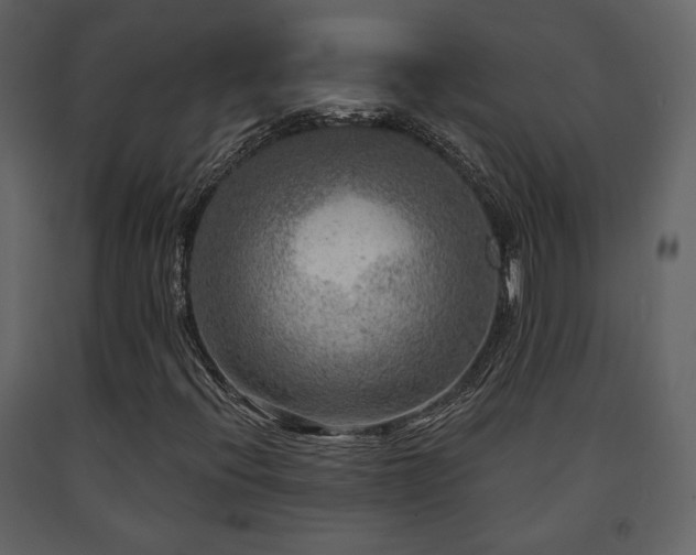 X0000091721396200708241338
