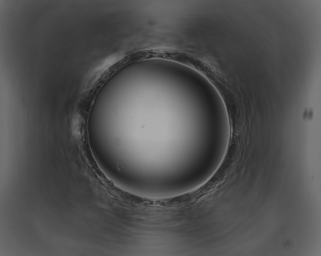 X0000091721398200708241338