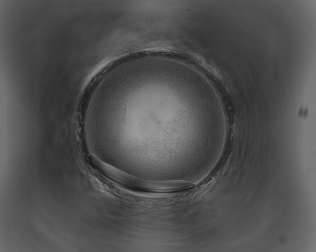 X0000091721400200708241338