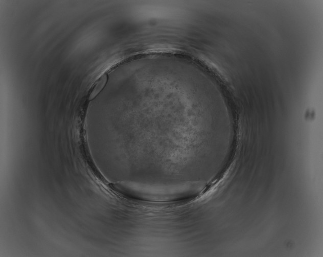 X0000091721401200708241338