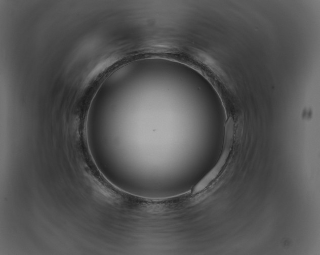 X0000091721402200708241338