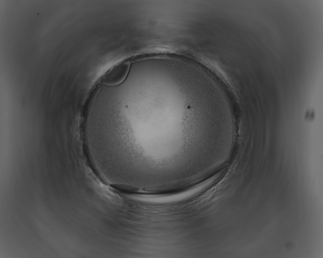 X0000091721404200708241338