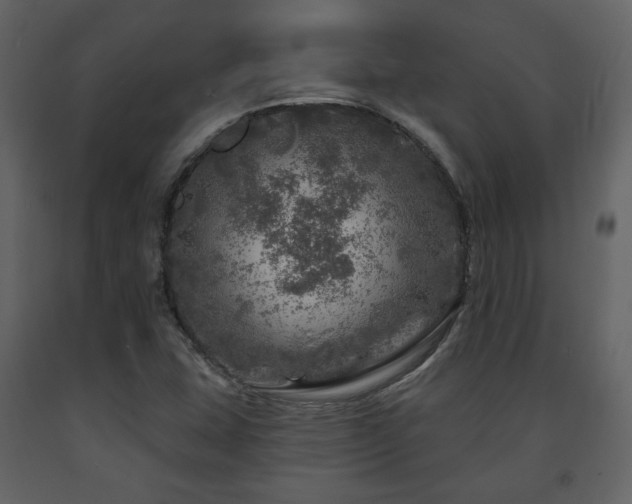 X0000091721407200708241338