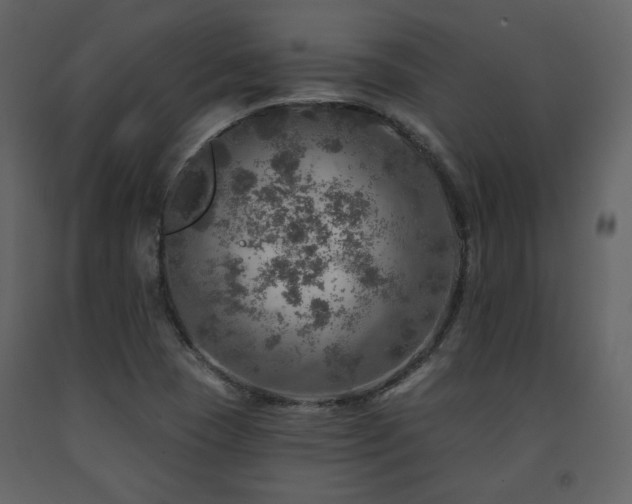 X0000091721409200708241338