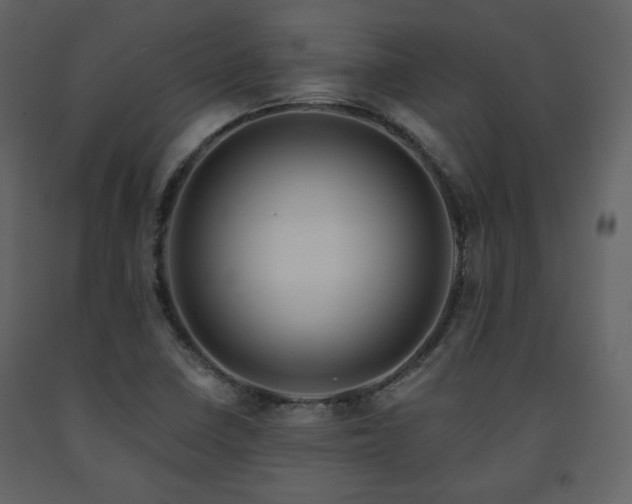X0000091721410200708241338