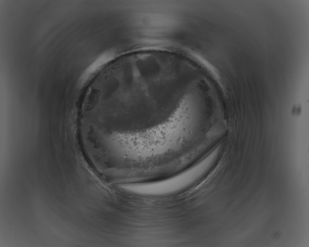 X0000091721411200708241338