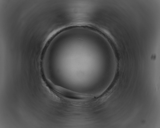 X0000091721412200708241338