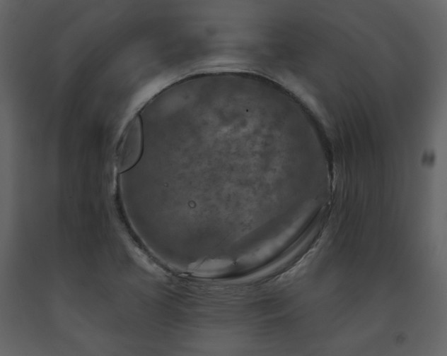 X0000091721413200708241338