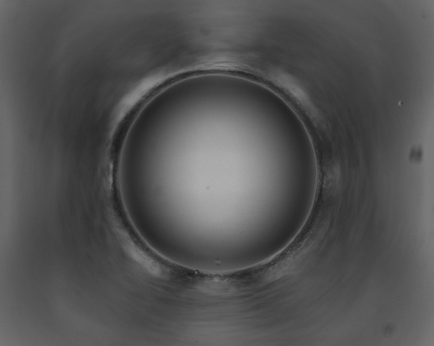 X0000091721414200708241338