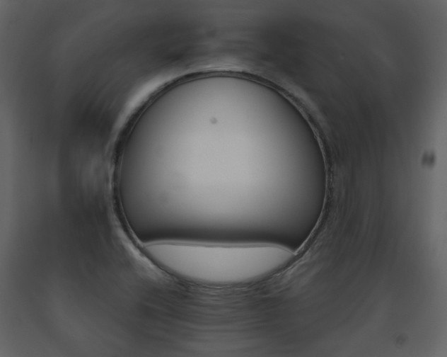 X0000091721416200708241338