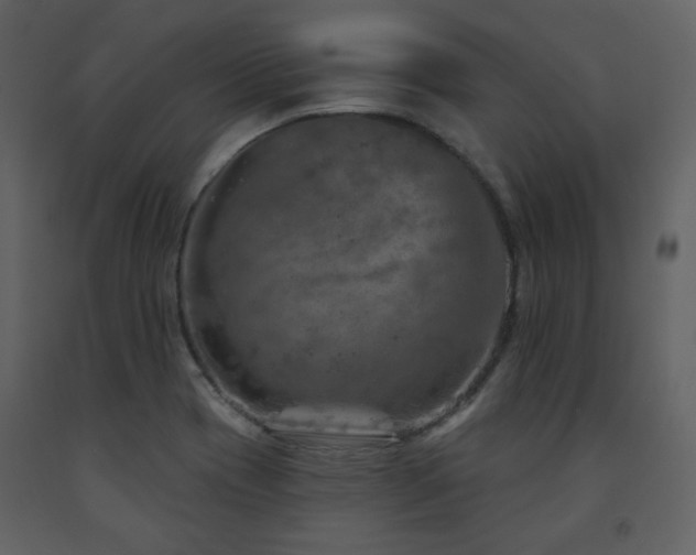 X0000091721417200708241338