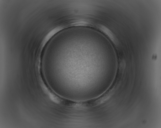 X0000091721418200708241338