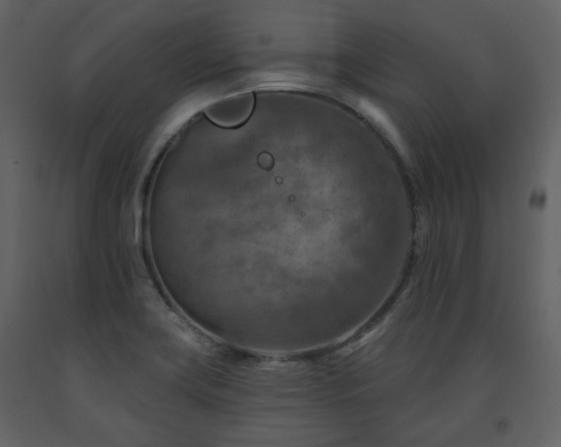 X0000091721419200708241338