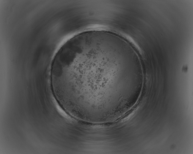 X0000091721421200708241338