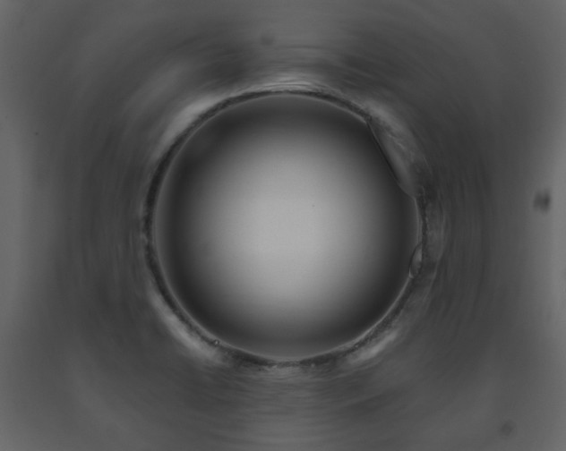 X0000091721422200708241338
