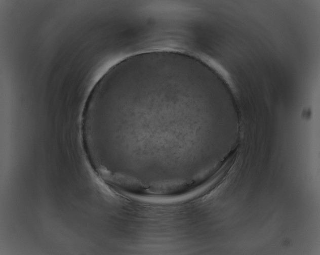 X0000091721423200708241338