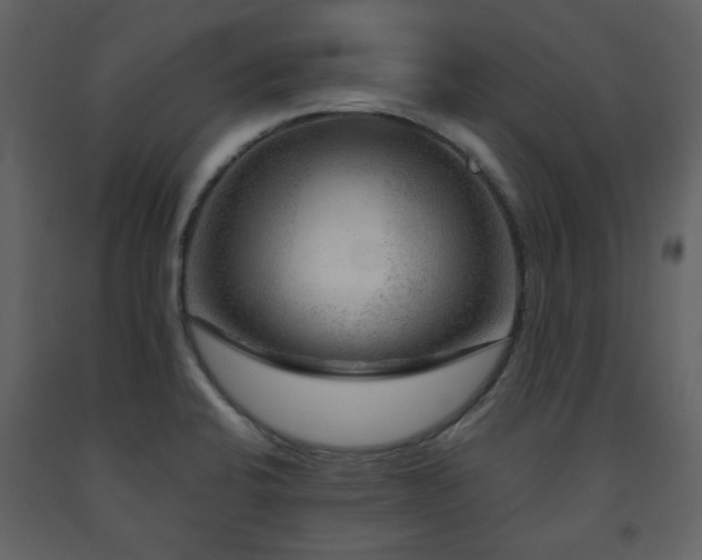 X0000091721424200708241338