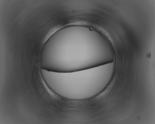X0000091721425200708241338