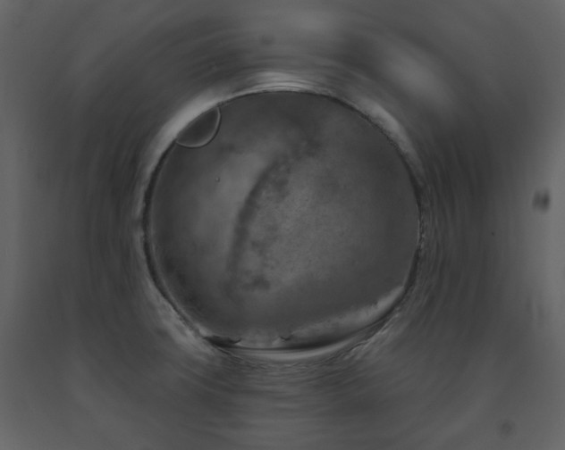X0000091721427200708241338