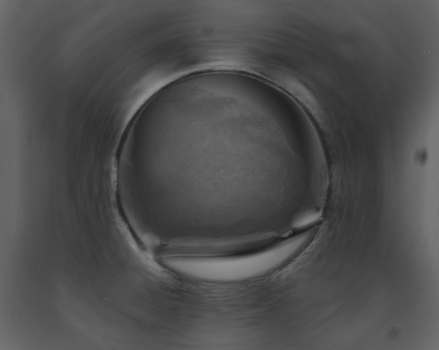 X0000091721428200708241338