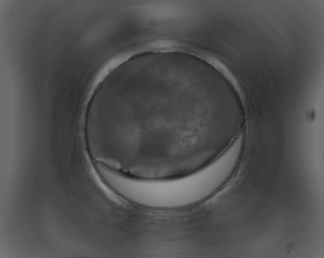 X0000091721429200708241338