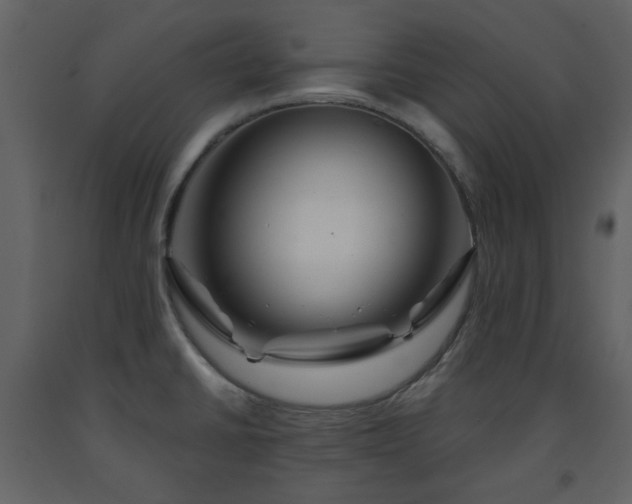 X0000091721430200708241338