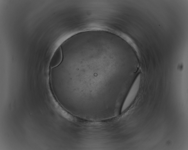 X0000091721431200708241339
