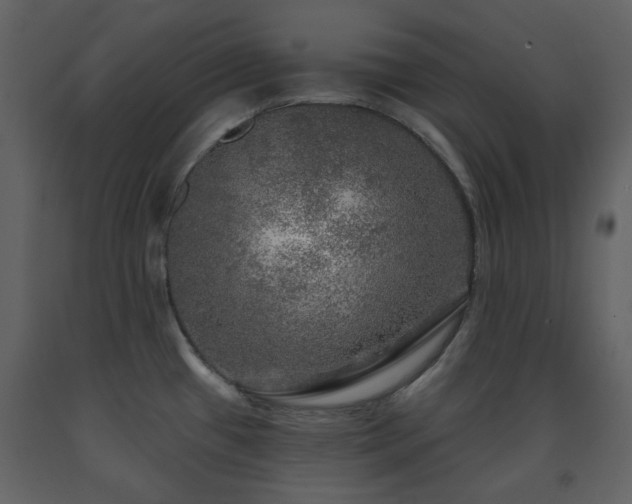 X0000091721433200708241339