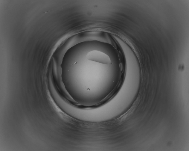 X0000091721434200708241339