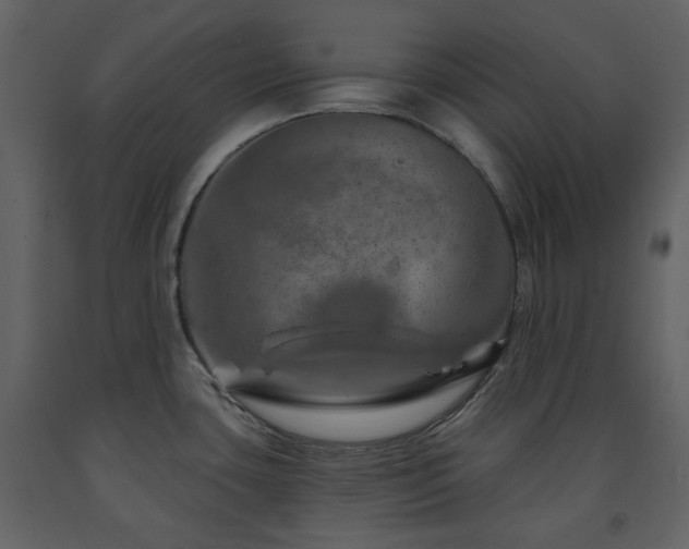 X0000091721435200708241339