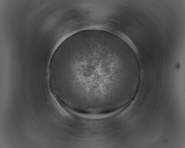 X0000091721436200708241339