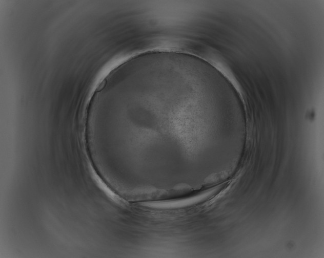 X0000091721437200708241339