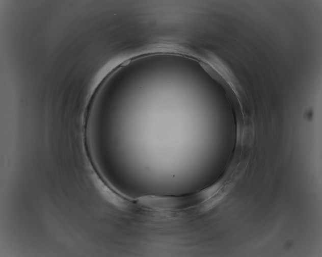 X0000091721438200708241339