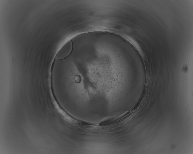 X0000091721439200708241339