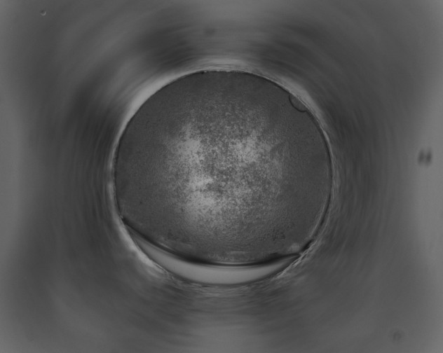 X0000091721440200708241339
