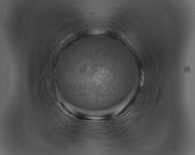X0000091721441200708241338
